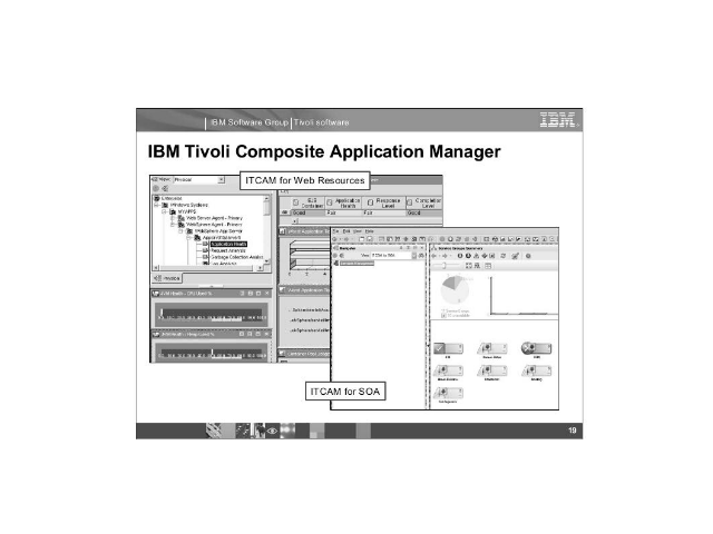 IBM Tivoli Monitoring.  0